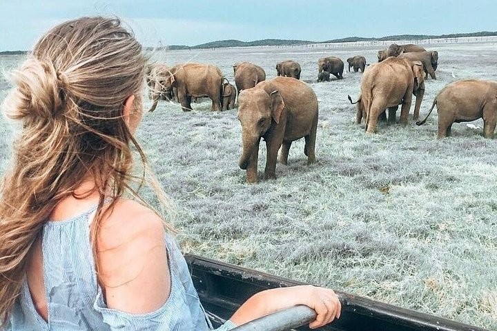 Jeep Safari in minnarya National Park